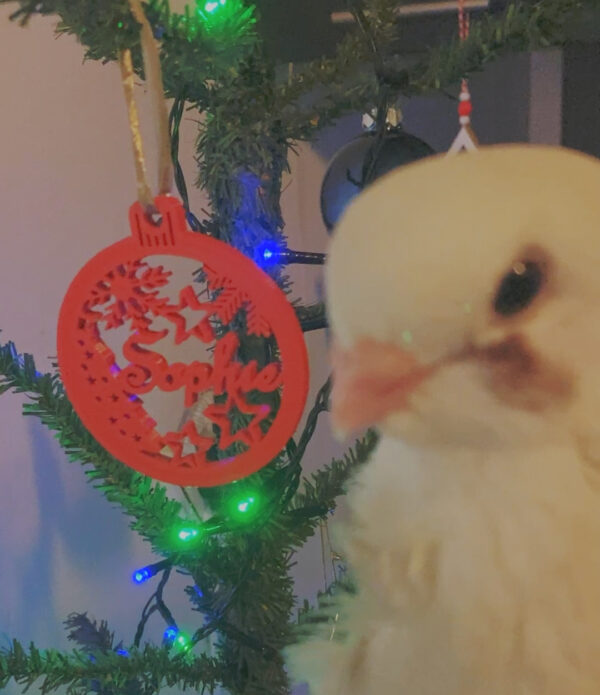 Classic Christmas Ornament With Name - Image 2